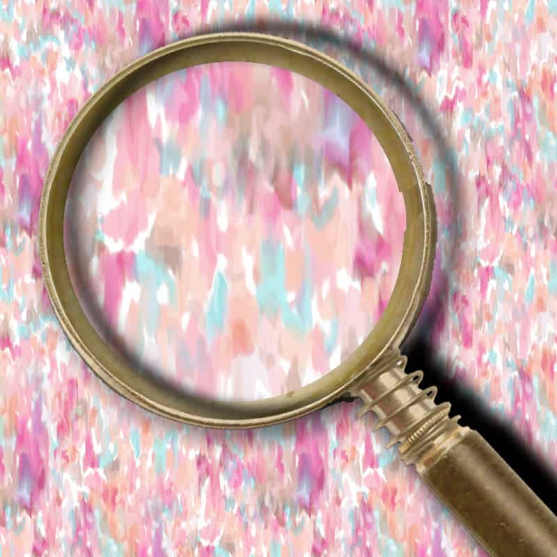 Mandy's Palette