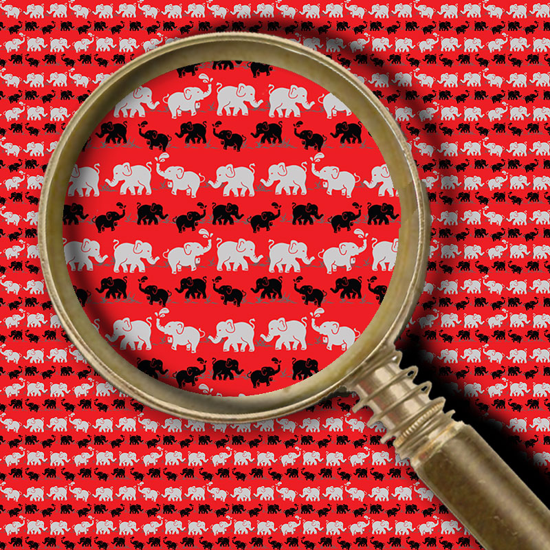 Tusk in Red